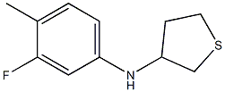 N-(3-fluoro-4-methylphenyl)thiolan-3-amine Structure