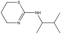N-(3-methylbutan-2-yl)-5,6-dihydro-4H-1,3-thiazin-2-amine 化学構造式