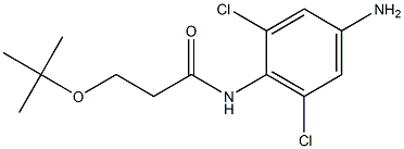 N-(4-amino-2,6-dichlorophenyl)-3-(tert-butoxy)propanamide Struktur