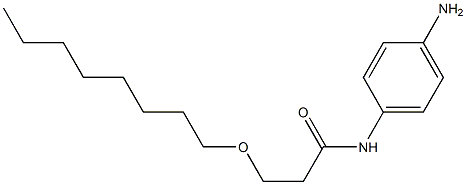 N-(4-aminophenyl)-3-(octyloxy)propanamide Struktur
