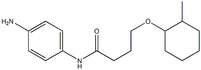 N-(4-aminophenyl)-4-[(2-methylcyclohexyl)oxy]butanamide Struktur