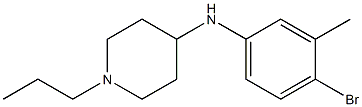 N-(4-bromo-3-methylphenyl)-1-propylpiperidin-4-amine Structure