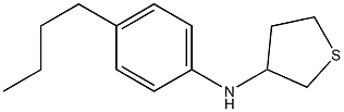 N-(4-butylphenyl)thiolan-3-amine,,结构式