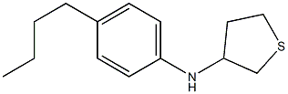 N-(4-butylphenyl)thiolan-3-amine Struktur