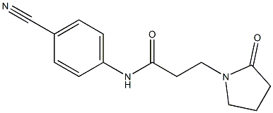 N-(4-cyanophenyl)-3-(2-oxopyrrolidin-1-yl)propanamide Structure