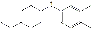 N-(4-ethylcyclohexyl)-3,4-dimethylaniline 结构式