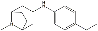 N-(4-ethylphenyl)-8-methyl-8-azabicyclo[3.2.1]octan-3-amine Structure