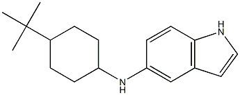  N-(4-tert-butylcyclohexyl)-1H-indol-5-amine