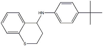 N-(4-tert-butylphenyl)-3,4-dihydro-2H-1-benzothiopyran-4-amine 化学構造式