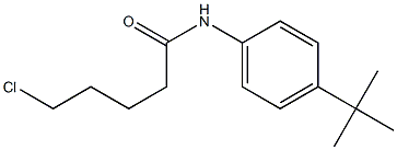 N-(4-tert-butylphenyl)-5-chloropentanamide Structure