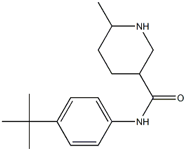 N-(4-tert-butylphenyl)-6-methylpiperidine-3-carboxamide Structure