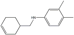 N-(cyclohex-3-en-1-ylmethyl)-3,4-dimethylaniline,,结构式