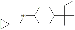 N-(cyclopropylmethyl)-4-(2-methylbutan-2-yl)cyclohexan-1-amine,,结构式
