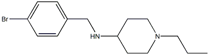 N-[(4-bromophenyl)methyl]-1-propylpiperidin-4-amine