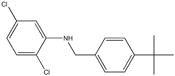 N-[(4-tert-butylphenyl)methyl]-2,5-dichloroaniline Structure