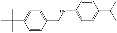 N-[(4-tert-butylphenyl)methyl]-4-(propan-2-yl)aniline