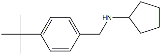 N-[(4-tert-butylphenyl)methyl]cyclopentanamine 化学構造式