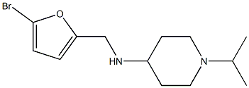  N-[(5-bromofuran-2-yl)methyl]-1-(propan-2-yl)piperidin-4-amine