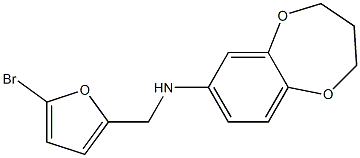  N-[(5-bromofuran-2-yl)methyl]-3,4-dihydro-2H-1,5-benzodioxepin-7-amine