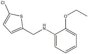  N-[(5-chlorothiophen-2-yl)methyl]-2-ethoxyaniline