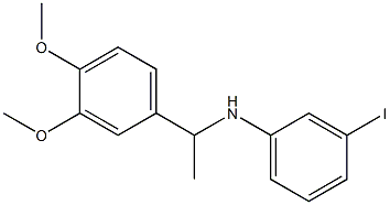 N-[1-(3,4-dimethoxyphenyl)ethyl]-3-iodoaniline Structure