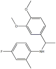 N-[1-(3,4-dimethoxyphenyl)ethyl]-4-fluoro-2-methylaniline 结构式