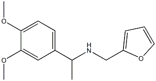  N-[1-(3,4-dimethoxyphenyl)ethyl]-N-(2-furylmethyl)amine