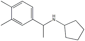  N-[1-(3,4-dimethylphenyl)ethyl]cyclopentanamine