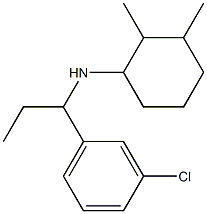 N-[1-(3-chlorophenyl)propyl]-2,3-dimethylcyclohexan-1-amine 结构式