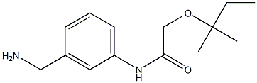 N-[3-(aminomethyl)phenyl]-2-[(2-methylbutan-2-yl)oxy]acetamide 结构式