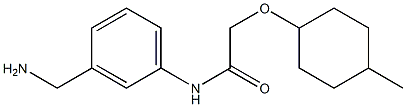 N-[3-(aminomethyl)phenyl]-2-[(4-methylcyclohexyl)oxy]acetamide