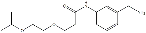 N-[3-(aminomethyl)phenyl]-3-[2-(propan-2-yloxy)ethoxy]propanamide 结构式