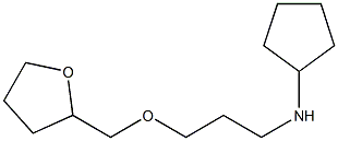 N-[3-(oxolan-2-ylmethoxy)propyl]cyclopentanamine Struktur