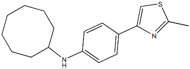 N-[4-(2-methyl-1,3-thiazol-4-yl)phenyl]cyclooctanamine,,结构式