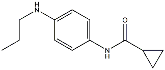 N-[4-(propylamino)phenyl]cyclopropanecarboxamide Structure