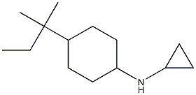 N-cyclopropyl-N-[4-(1,1-dimethylpropyl)cyclohexyl]amine