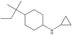  N-cyclopropyl-N-[4-(1,1-dimethylpropyl)cyclohexyl]amine