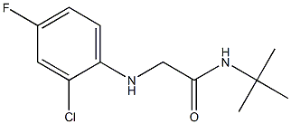 N-tert-butyl-2-[(2-chloro-4-fluorophenyl)amino]acetamide