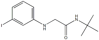 N-tert-butyl-2-[(3-iodophenyl)amino]acetamide Struktur