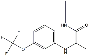 N-tert-butyl-2-{[3-(trifluoromethoxy)phenyl]amino}propanamide,,结构式