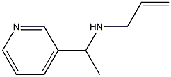 prop-2-en-1-yl[1-(pyridin-3-yl)ethyl]amine