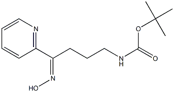 (4-Hydroxyimino-4-pyridin-2-yl-butyl)-carbamic acid tert-butyl ester 结构式