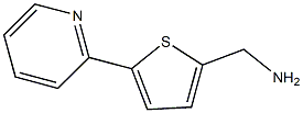 (5-(pyridin-2-yl)thiophen-2-yl)methanamine,,结构式