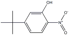 5-tert-butyl-2-nitrophenol Struktur