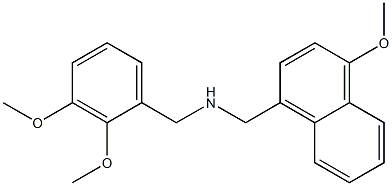 N-(2,3-dimethoxybenzyl)(4-methoxy-1-naphthyl)methanamine Structure