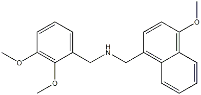 N-(2,3-dimethoxybenzyl)(4-methoxy-1-naphthyl)methanamine