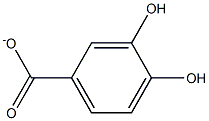 3,4-Dihydroxybenzoate,,结构式