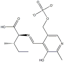 N-[[3-ヒドロキシ-2-メチル-5-[(ホスホナトオキシ)メチル]ピリジン-4-イル]メチレン]-L-イソロイシン 化学構造式