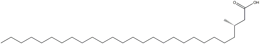 [S,(-)]-3-Methylheptacosanoic acid Struktur
