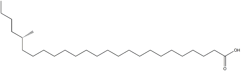 [S,(+)]-21-Methylpentacosanoic acid Struktur